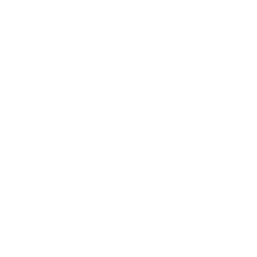 asset_IT managed