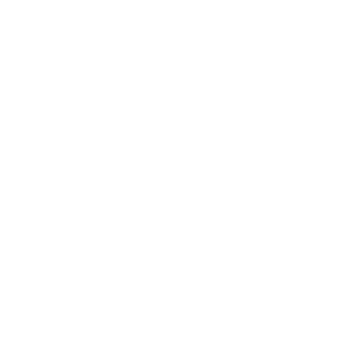 asset_Project