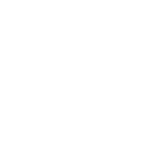 asset_Recovery
