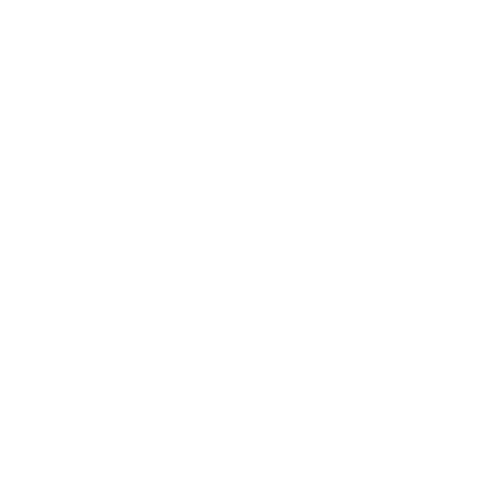 asset_Server